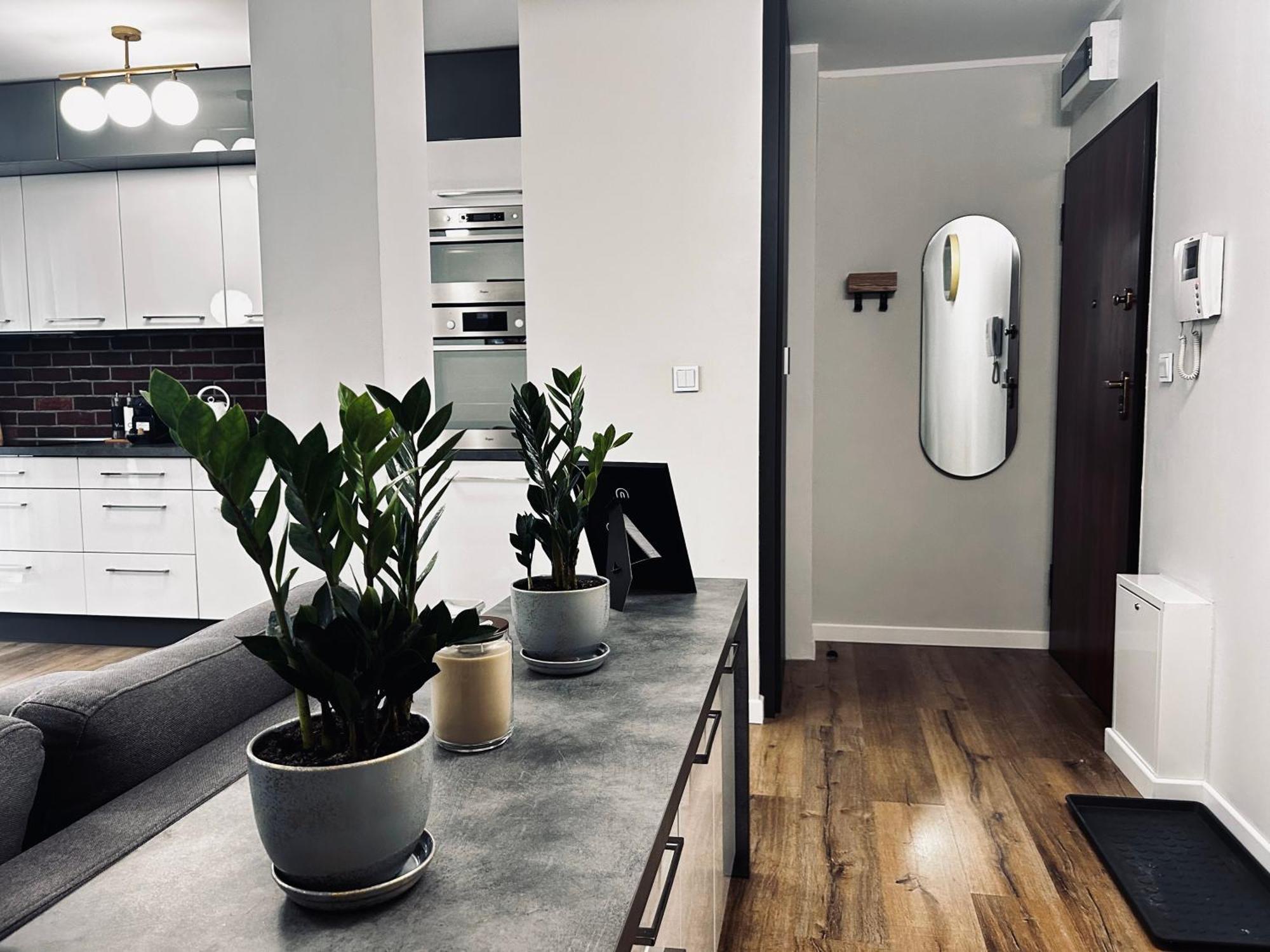 Apartament Rydygiera14 Wrocław Zewnętrze zdjęcie